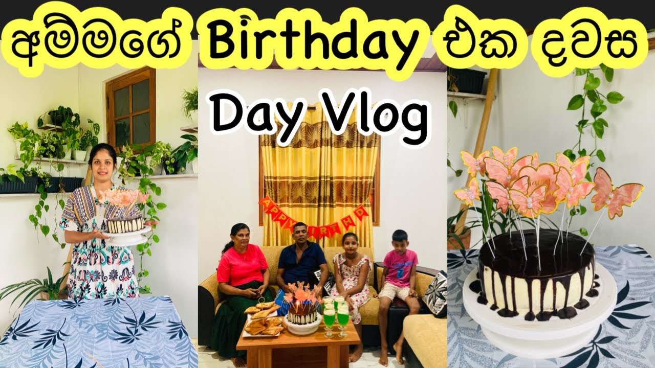 අපේ ගෙදර වත්තේ ඵලදාව 😍|දැක්කම නම් ආසා හිතුනා | Birthday Vlog | Simple Birthday Cake Design 