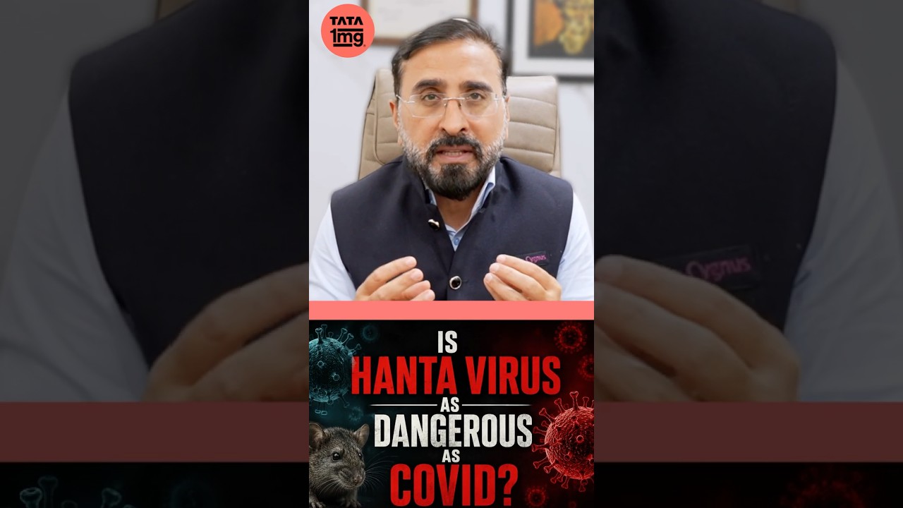 Hantavirus Explained: Symptoms, Spread & Prevention 🦠