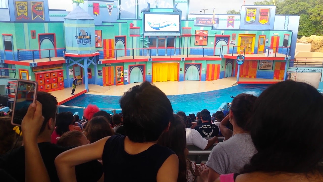 Sea Lions Tonite! SeaWorld San Antonio 2018!