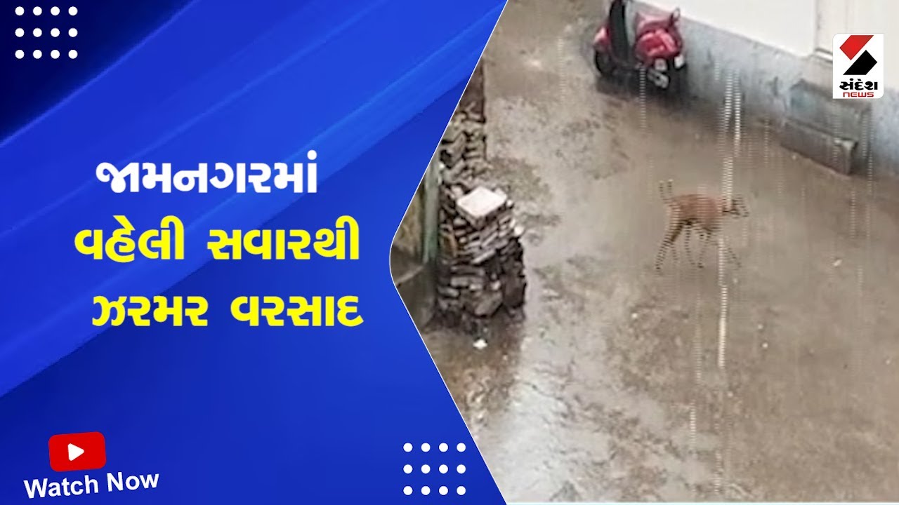 Gujarat Rain Forecast | જામનગરમાં વહેલી સવારથી ઝરમર વરસાદ | Jamnagar Rain | Gujarat Monsoon
