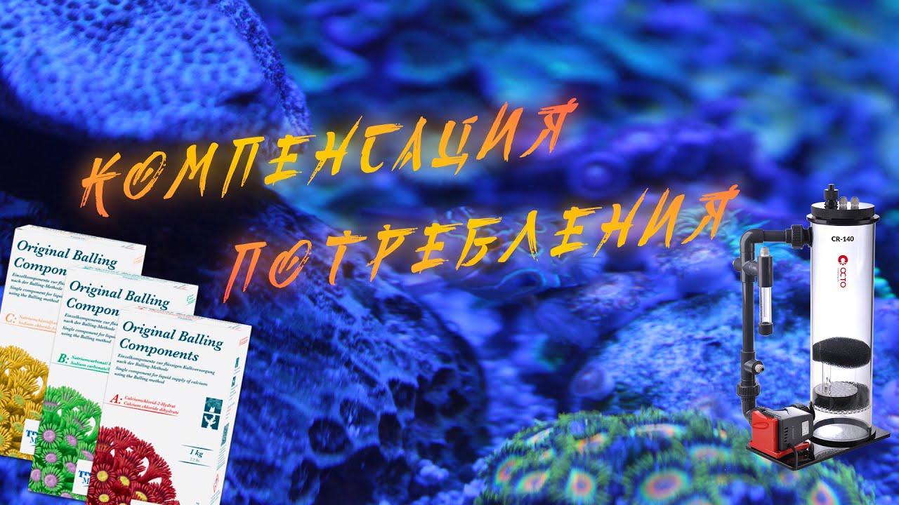 Кальций, магний, щелочность и pH в морском аквариуме