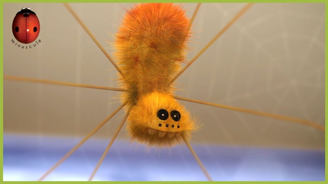 Brushing | Minuscule | 40' Compilation