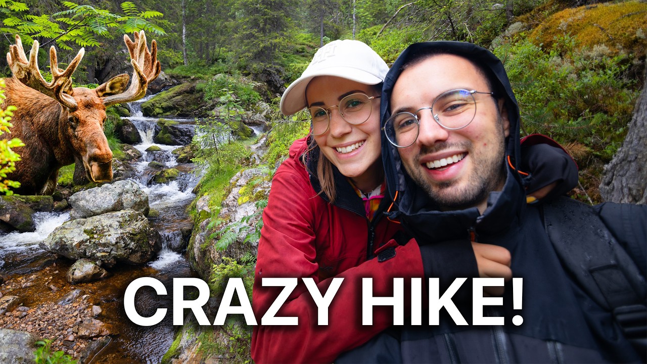 We Hiked to a Cute Waterfall in Sweden + Moose Surprise!