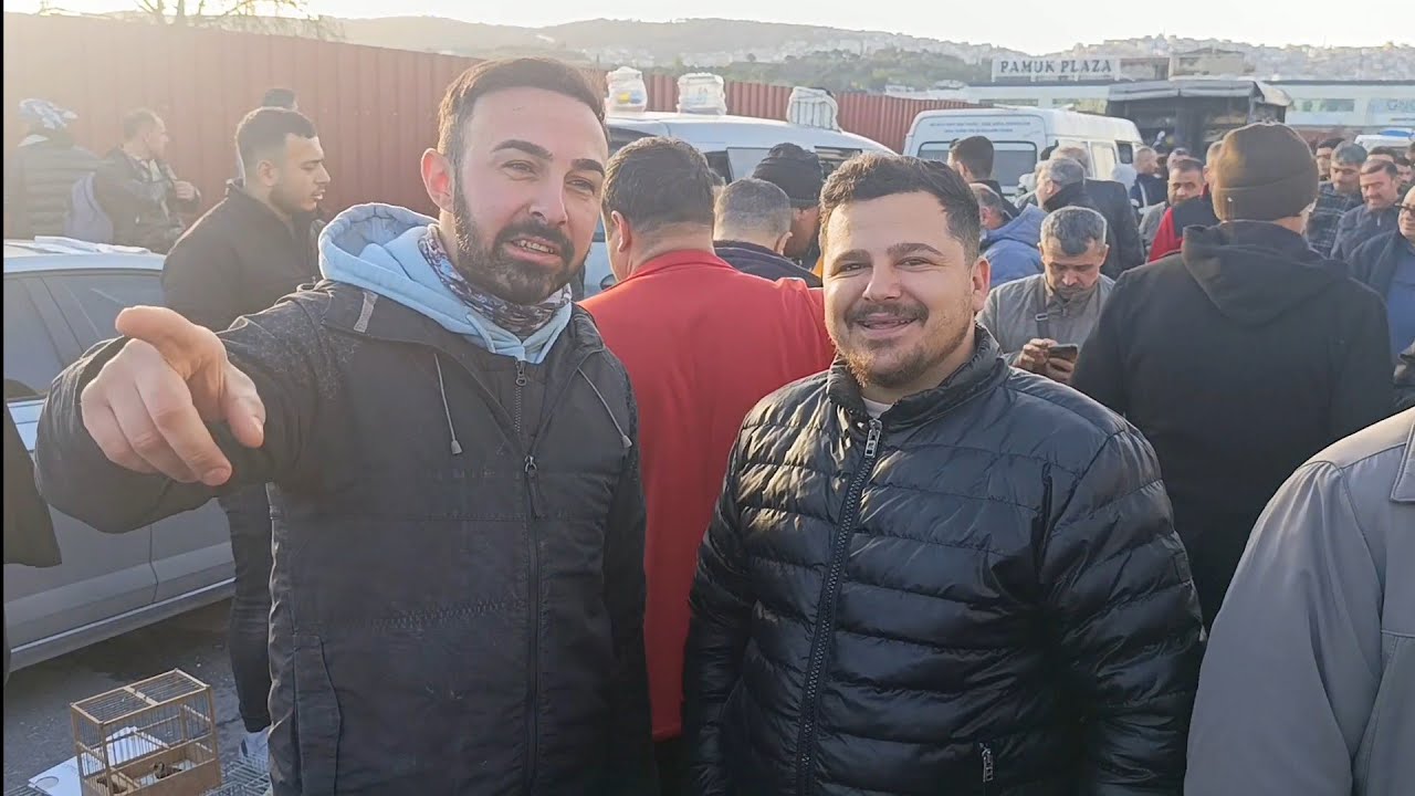 🔴 #izmir #tavuk #pazarı #yeni #bölüm #hindi #horoz #tavsan #tavuskuşu #sultanpapağnı #muhabbetkuşu 📺