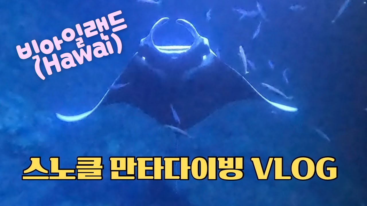 밤에 관찰하는 