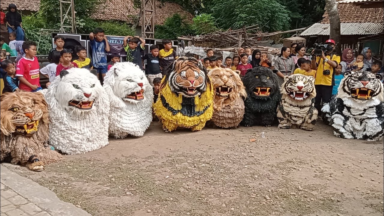 Can macanan singo Raung cilik terbaru di undang acara khitanan bersama singo leter74 madura