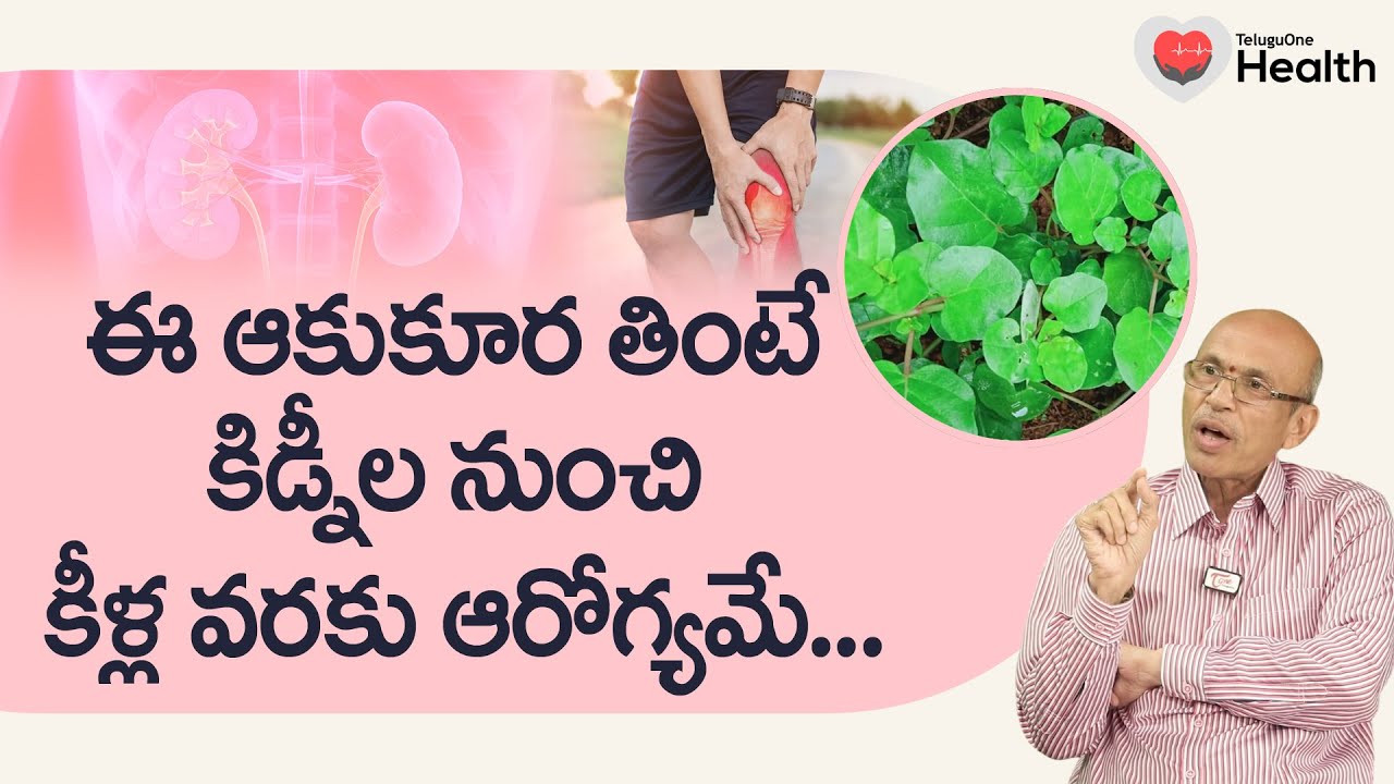 Punarnava | ఈ ఆకుకూర తింటే కిడ్నీల నుంచి కీళ్ల వరకు ఆరోగ్యమే.. Dr. Ch Madhusudana Sarma | ToneHealth