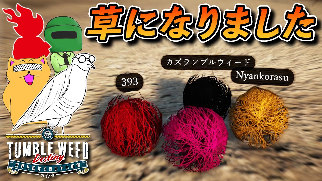 私達は今日から草になります【Tumble weed destiny】