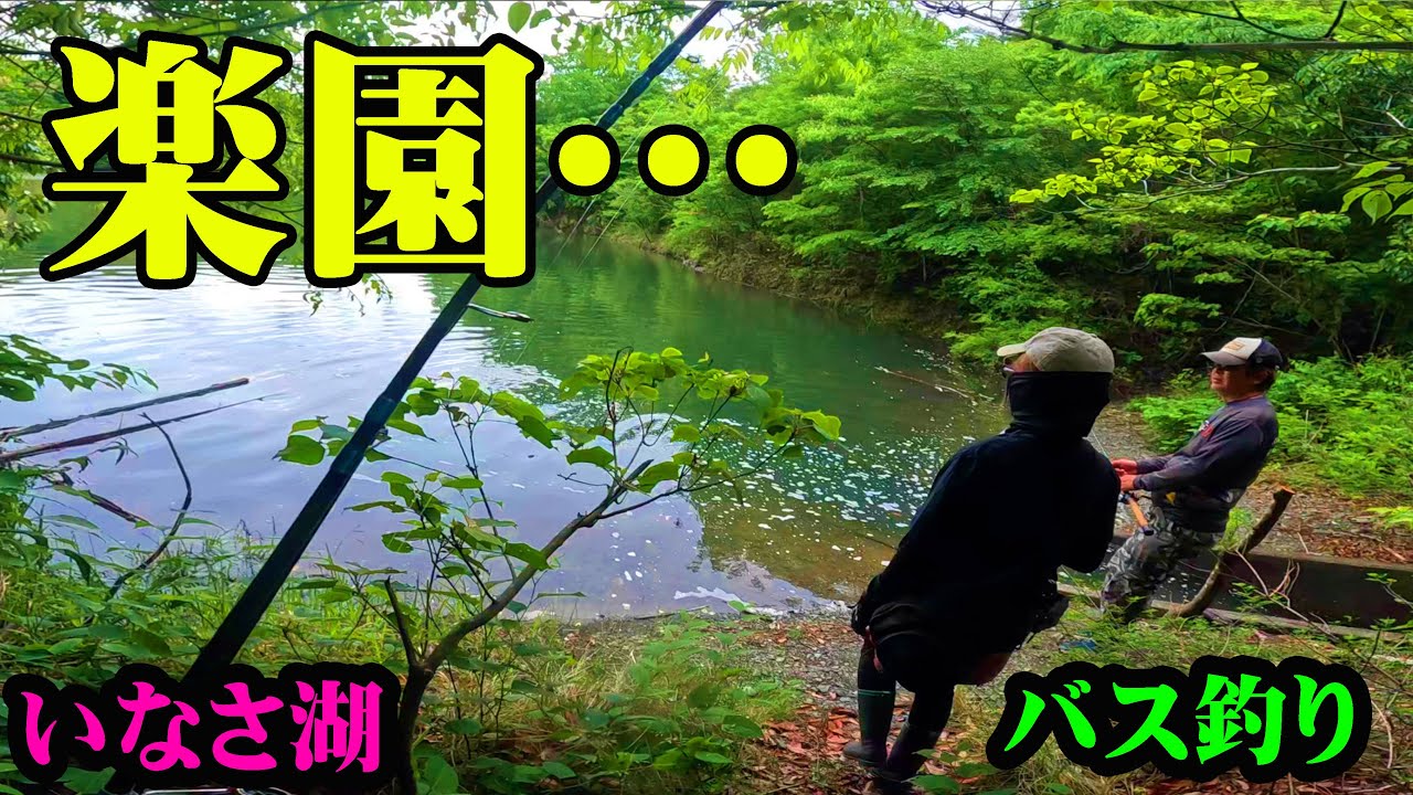 【いなさ湖】楽園で釣りをしたら最高過ぎた！【バス釣り】【シャーベットヘアーチャンネル】【都田川ダム】