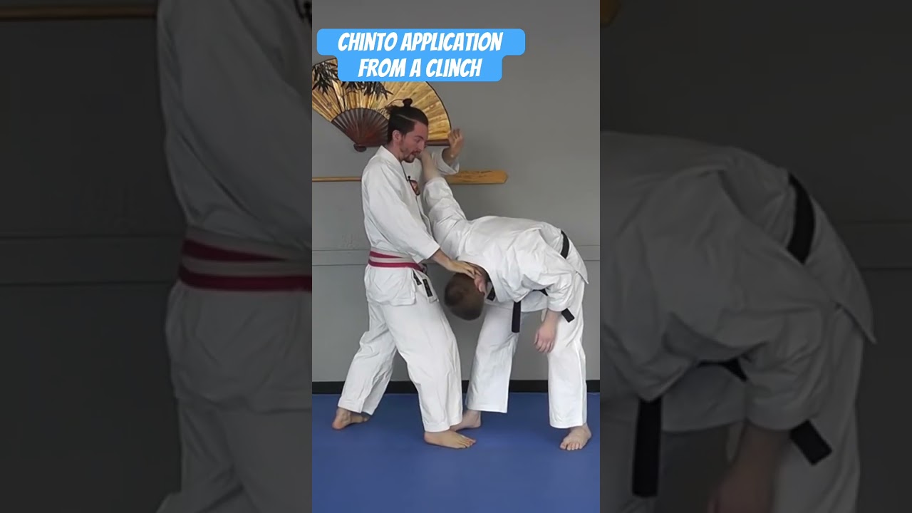 Application for Chinto from a clinch #chinto #grappling #clinch