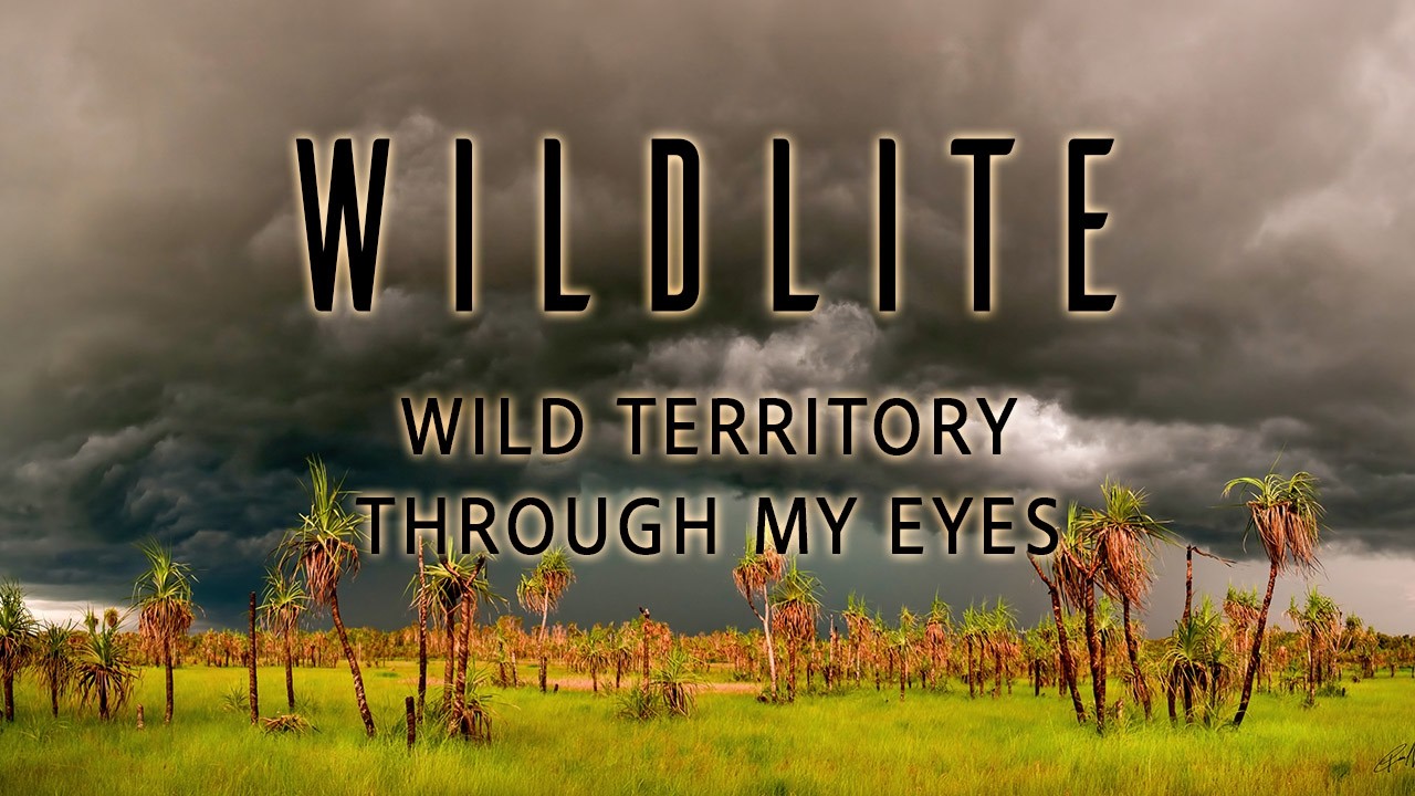 WILDLITE - visions of North Australia