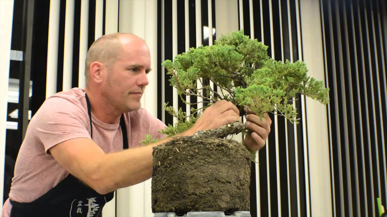 DIBK | Robert King - September 2014 Demo