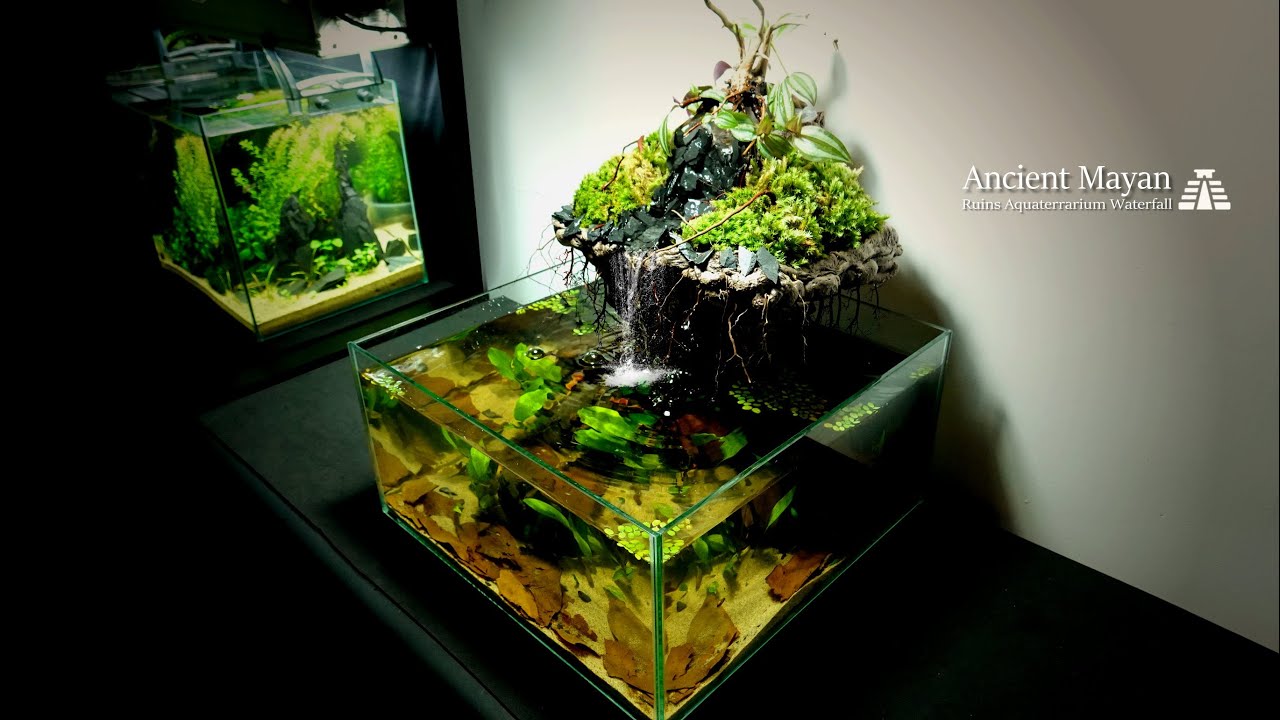 Making Ancient Mayan Architecture with Waterfall in Aquaterrarium