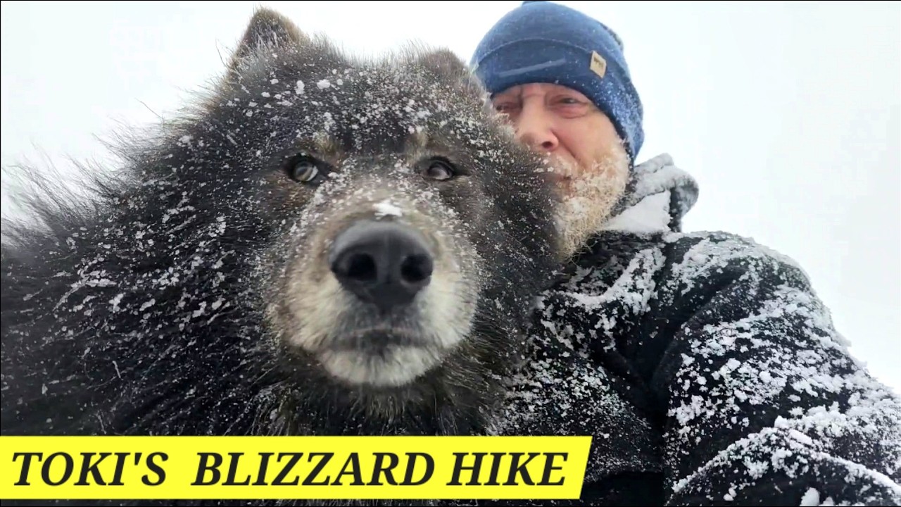 Hiking Through a BLIZZARD with My Lycan Shepherd TOKI (Part 2 of 5)