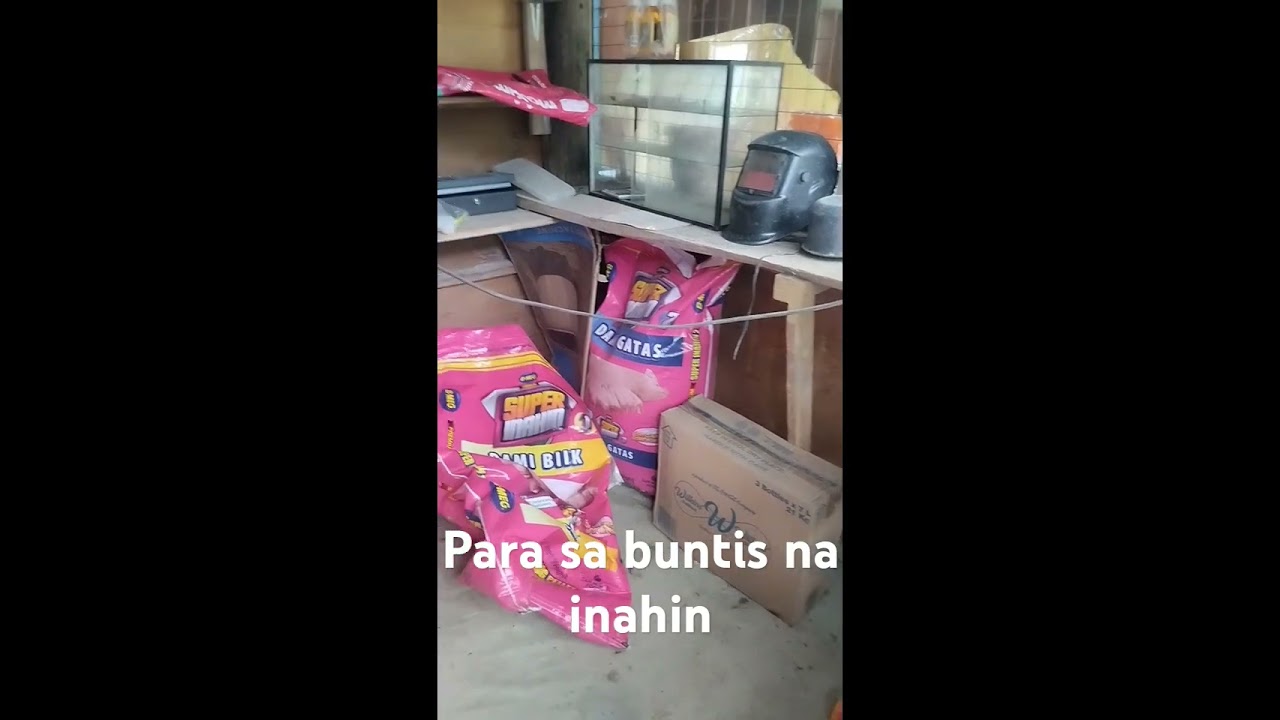 Super Inahin 1