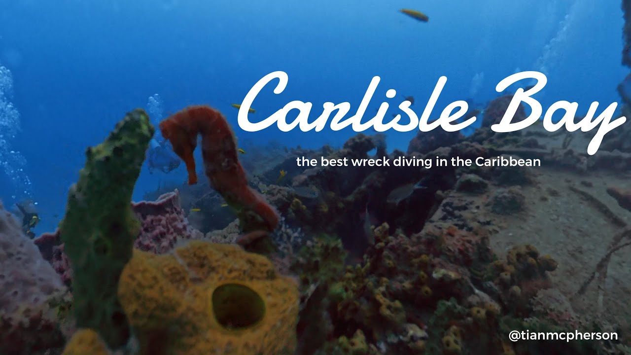 Barbados Reef and Wreck Scuba Diving in Carlisle Bay