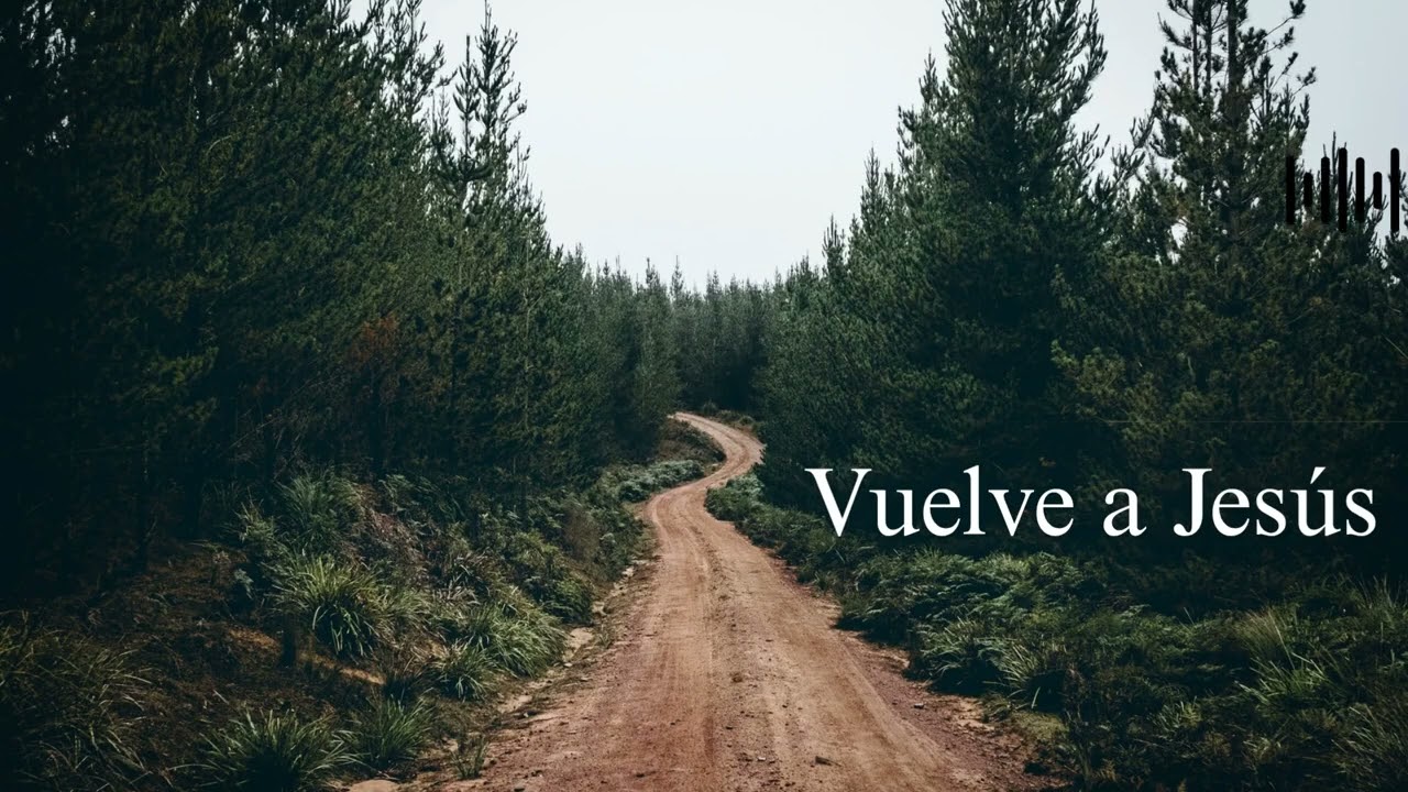 Gracias Salvadora - Vuelve a Jesús
