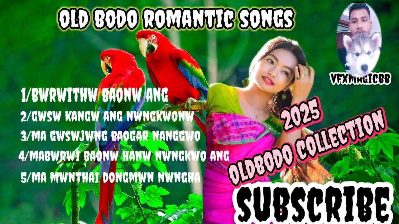 OLD BODO COLLECTION SONGS || Bodo Romantic Songs latest Old Bodo #oldbodosongs @vfxmagicbb🎧🎶🥀🕊️