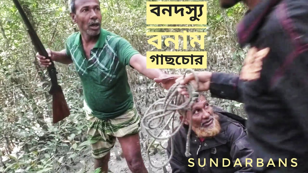 গাছ চোর ধরা পড়লো দস্যুনেতার হাতে | সুন্দরবন জীবন | সিজন ০৪ | পর্ব ৩১ | Sundarbans | Mohsin ul Hakim