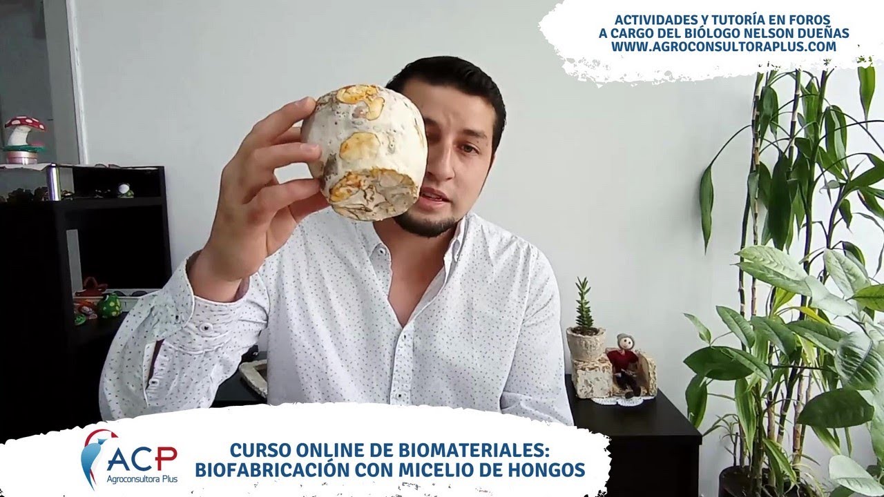 Micomateriales: Biofabricaci&oacute;n con Micelio de Hongos :: Curso a Distancia