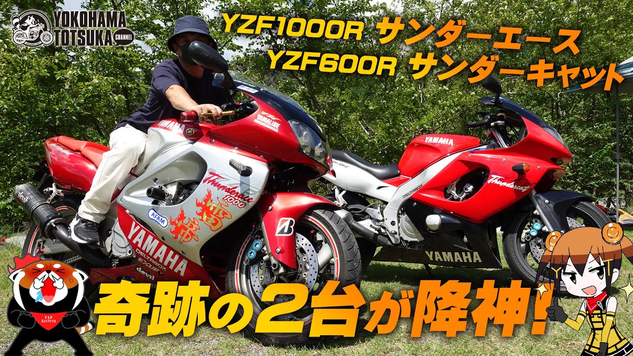 R1とR6のご先祖様「雷帝と雷猫」をついに捕獲！「サンダーエースとサンダーキャット」を一緒に詳細チェック！byYSP横浜戸塚