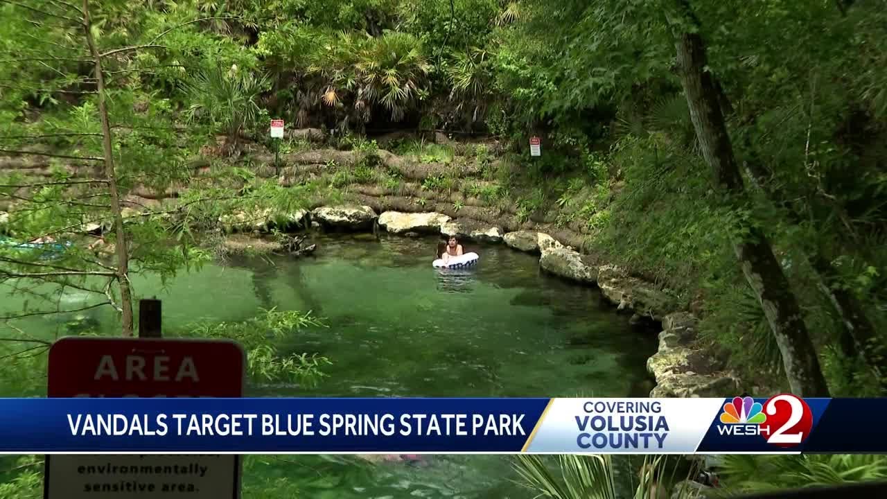 'Native plants dug up': Blue Spring State Park damaged 2 weeks after $5 million restoration