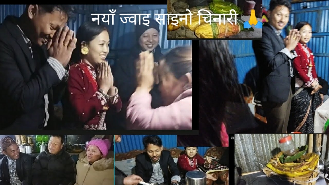 नया ज्वाइ साइनो चिनारी 🙏