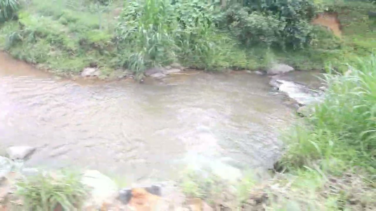 A CÂMARA  TRME  UM POUCO MAIS  VEJA O VÍDEO  QUE BOM # Brasil sc ## 