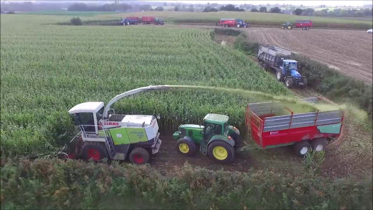 Ensilage maïs 2019 - Bretagne