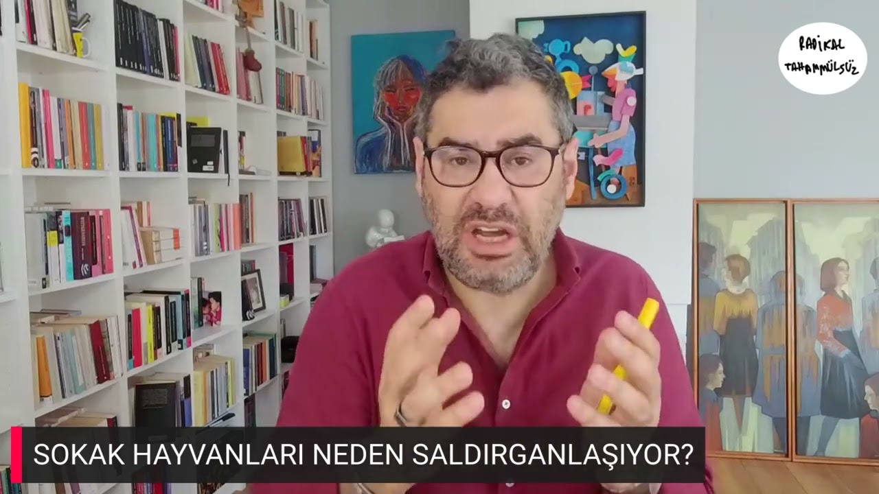 Sokak hayvanları için vekilken ne yaptınız Sabahat Akkiraz?