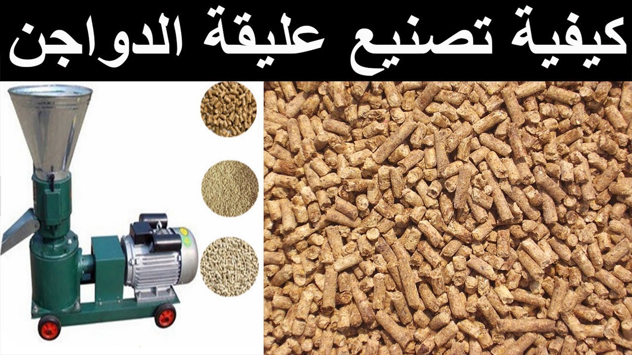 كيفية تصنيع عليقة الدواجن ومكوناتها  ... خطوات تكوين العليقة واضافة المركزات .. وتقييم جودة العلف