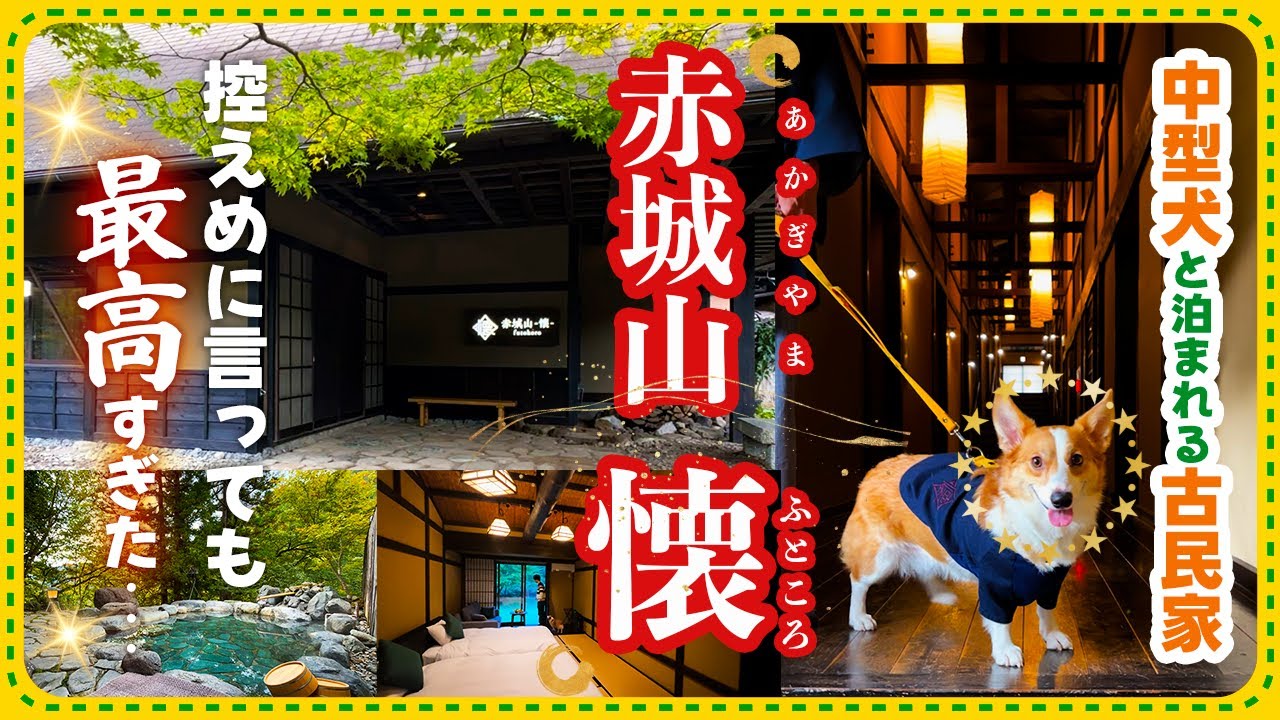 【犬と泊まれる群馬の温泉宿】赤城山-懐-が控えめに言って最高すぎた...✨東京から2時間の癒し宿！