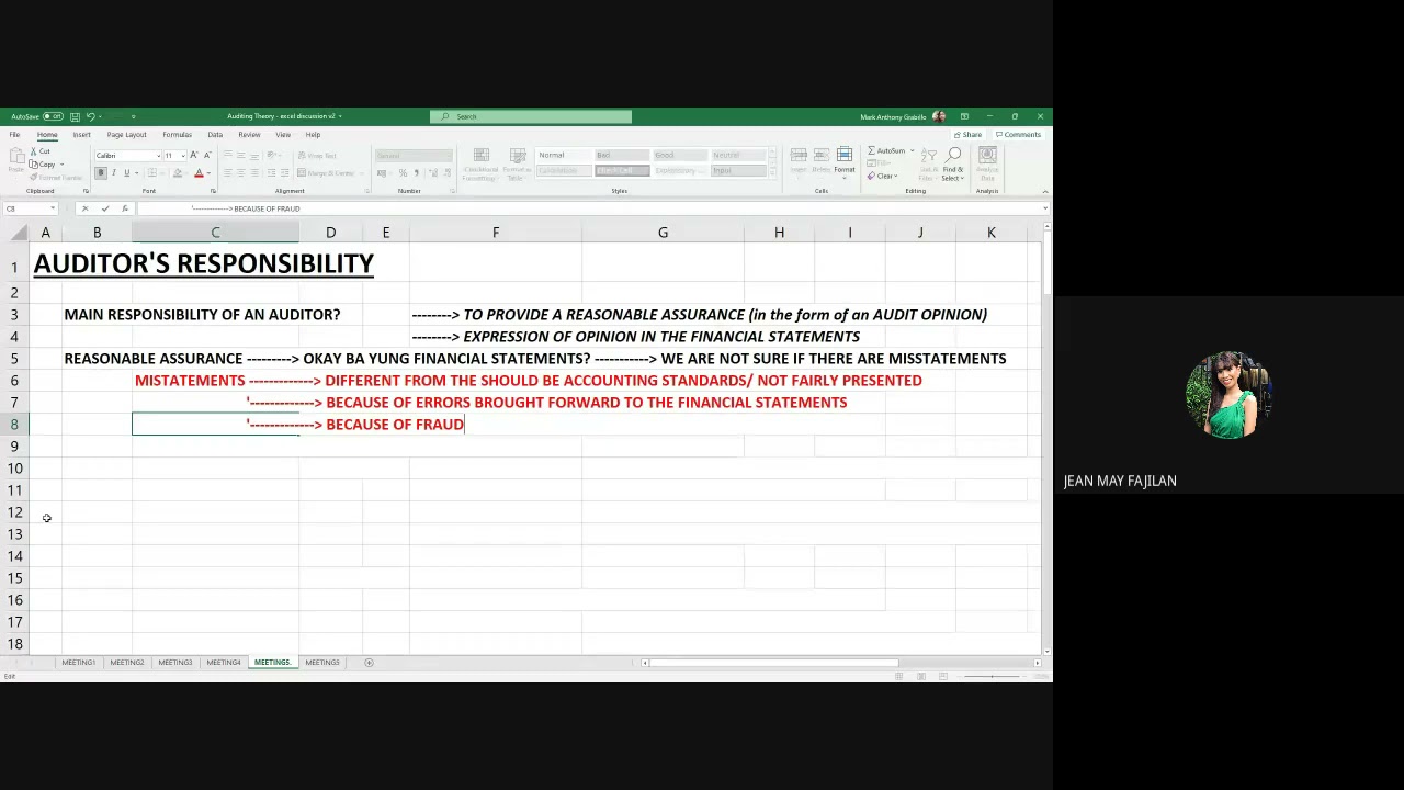 Auditor's Responsibility: Errors, Fraud, & Non-Compliance
