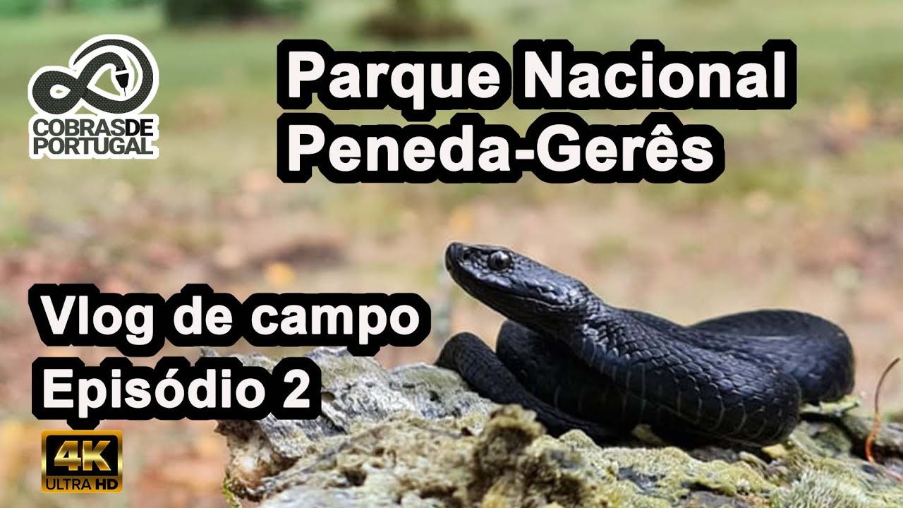 Vlog de Campo Episódio 2 - Parque Nacional Peneda-Gerês (4k)