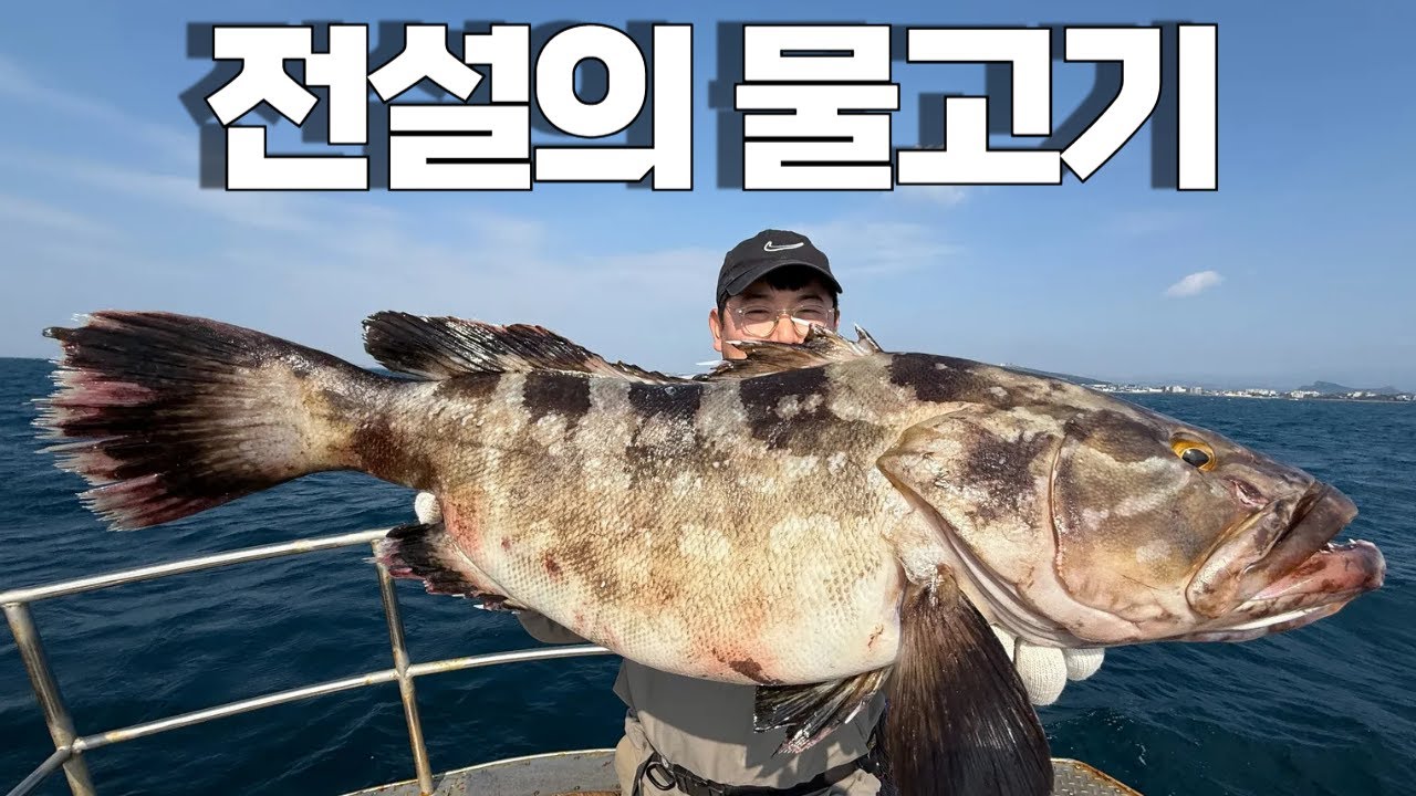 한 마리에 140만원 이라고...!?미쳤다 이렇게만 잡히면 부자 되겠다!
