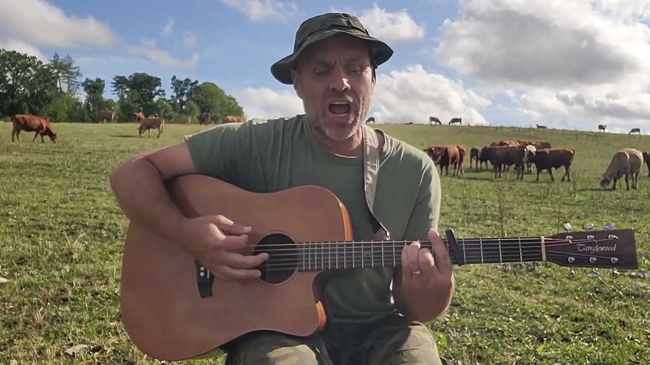 Michal Hejcman - Kravička (Skot domácí, Bos taurus)