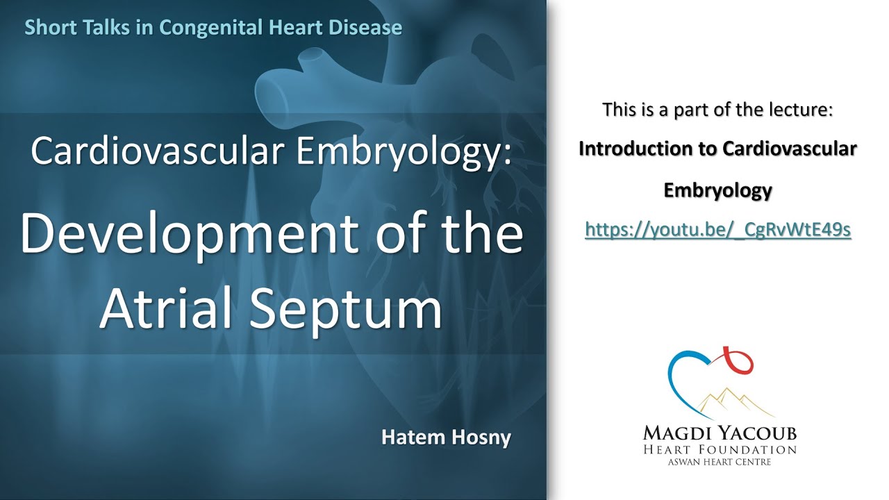 Development of the Atrial Septum (Embryology) - Hatem Hosny
