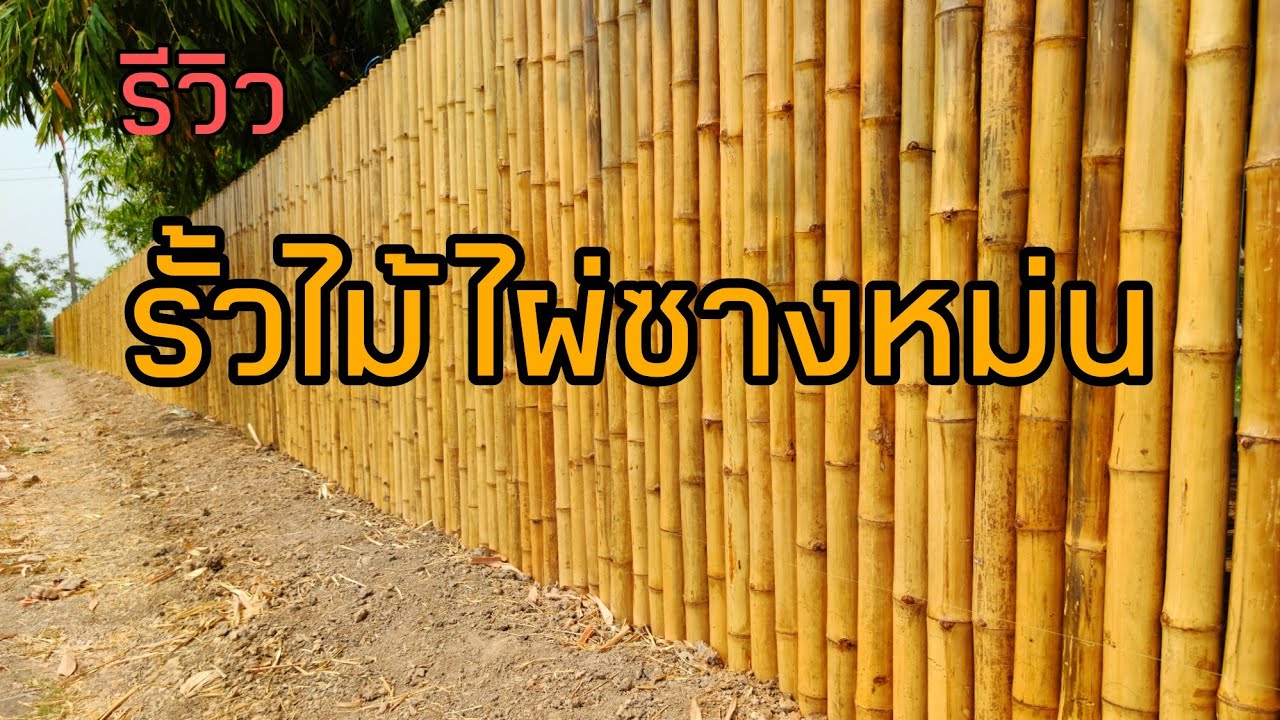 รีวิว : รั้วไม้ไผ่ซางหม่นคัดเกรด (นครนายก)