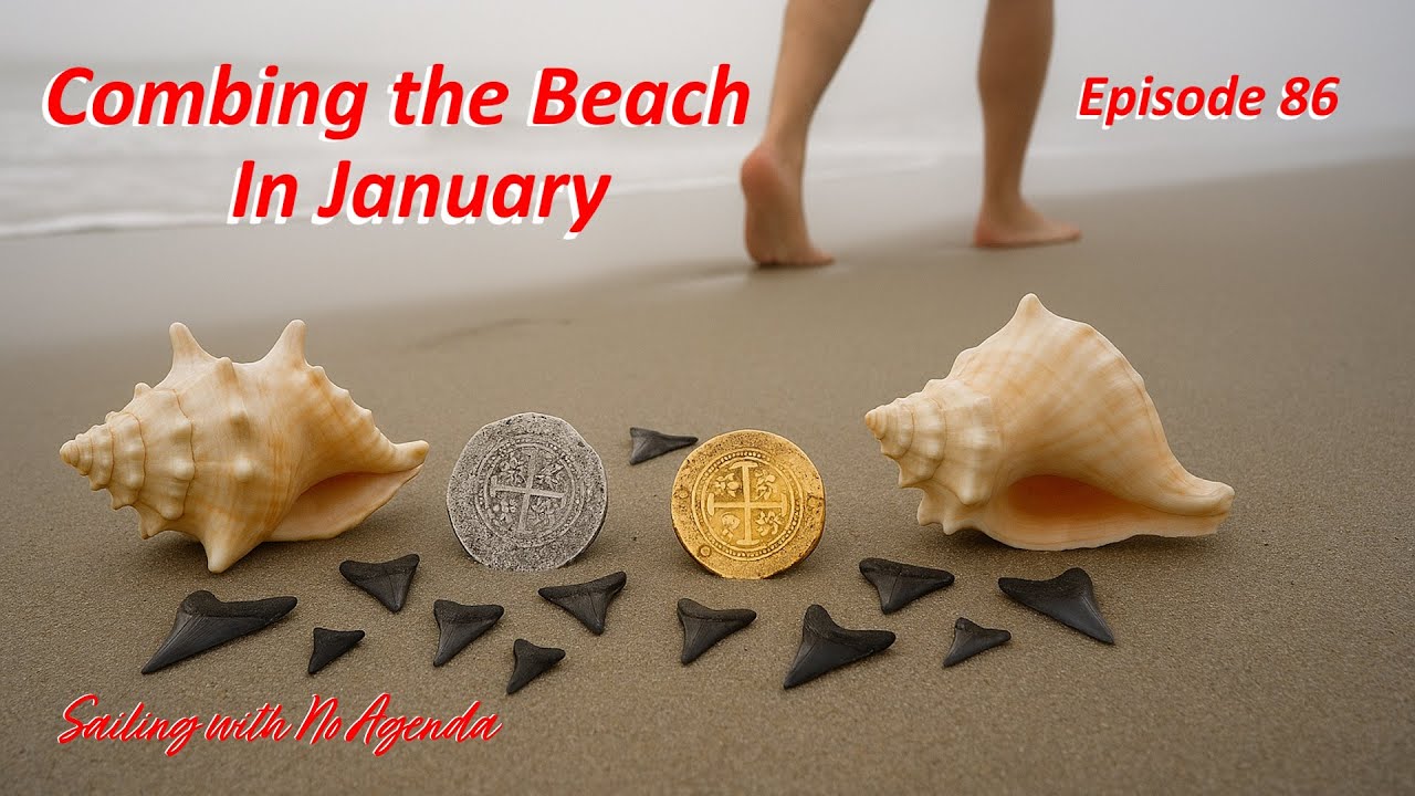 Episode 86 - Beach Combing in January