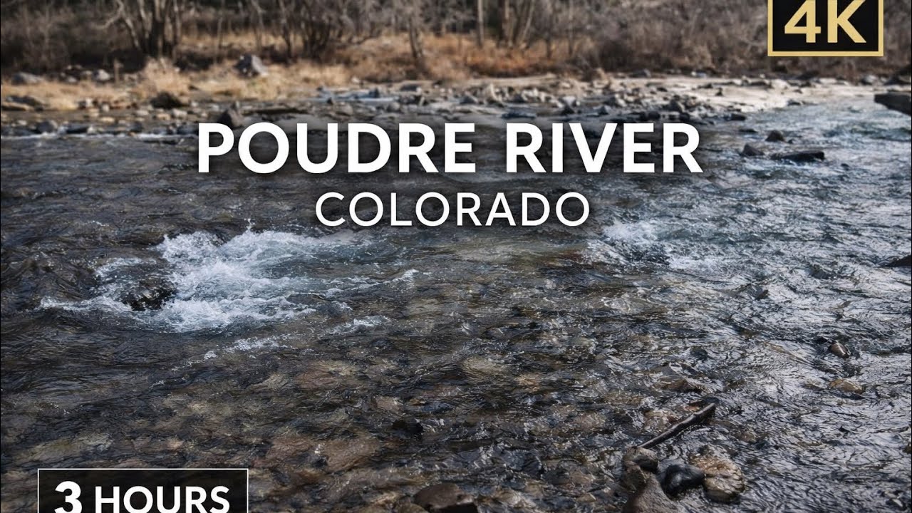 3 Hours | Poudre River – Colorado Stream Sounds for Sleep, Relaxation & Focus (No Music)