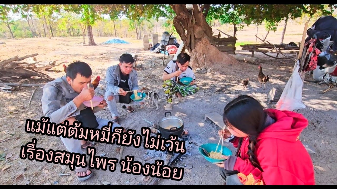 แม้แต่ต้มหมี่ ก็ยังไม่เว้นเรื่องสมุนไพรน้องน้อย 5 กุมภาพันธ์ ค.ศ. 2026