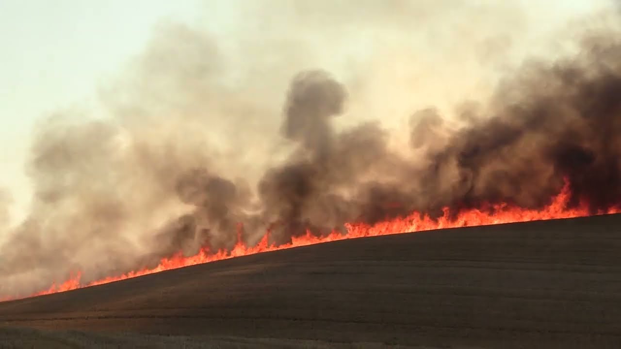 Markbrand på Knabstrupvej i Krøjerup ved Knabstrup - 130822