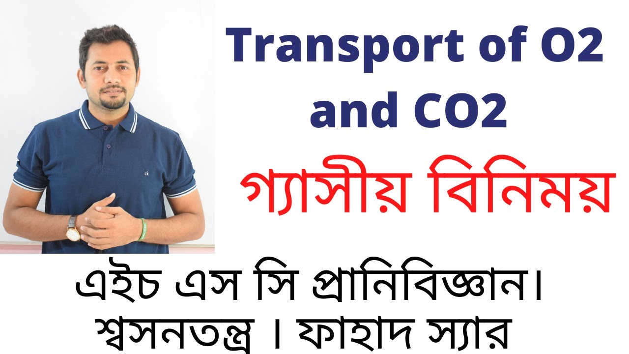 গ্যাসীয় পরিবহন । Transport of O2 and CO2 | HSC Zoology | Repiratory System | Fahad Sir