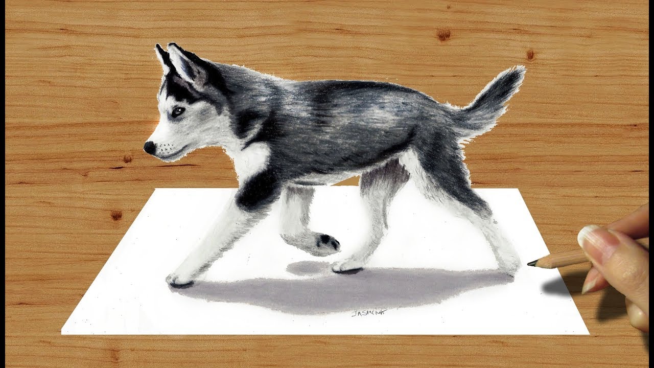 3D Pencil Drawing: Siberian Husky Puppy  - Speed Draw | Jasmina Susak