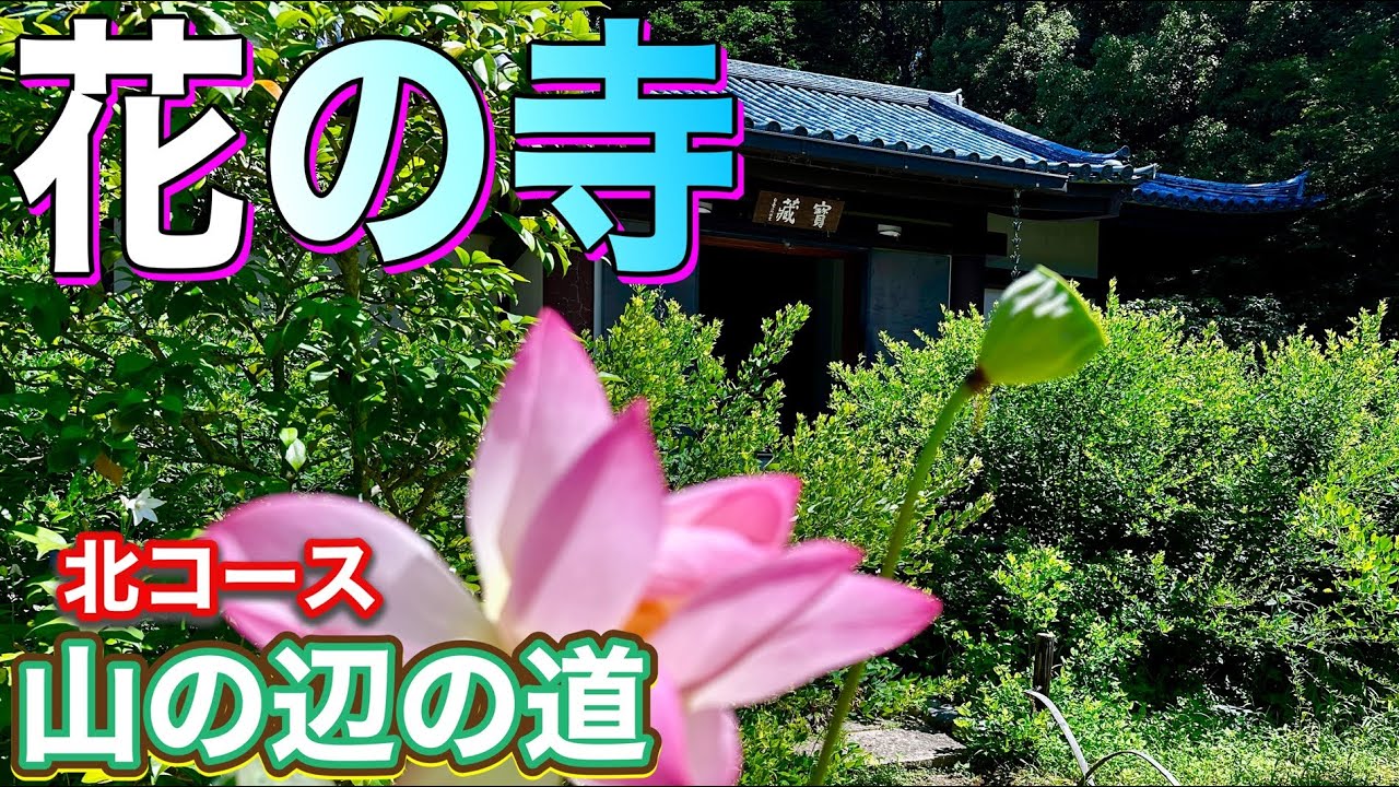 【花の寺・白毫寺へ】山の辺の道 北コースを歩く10　白毫寺で志貴皇子について語る