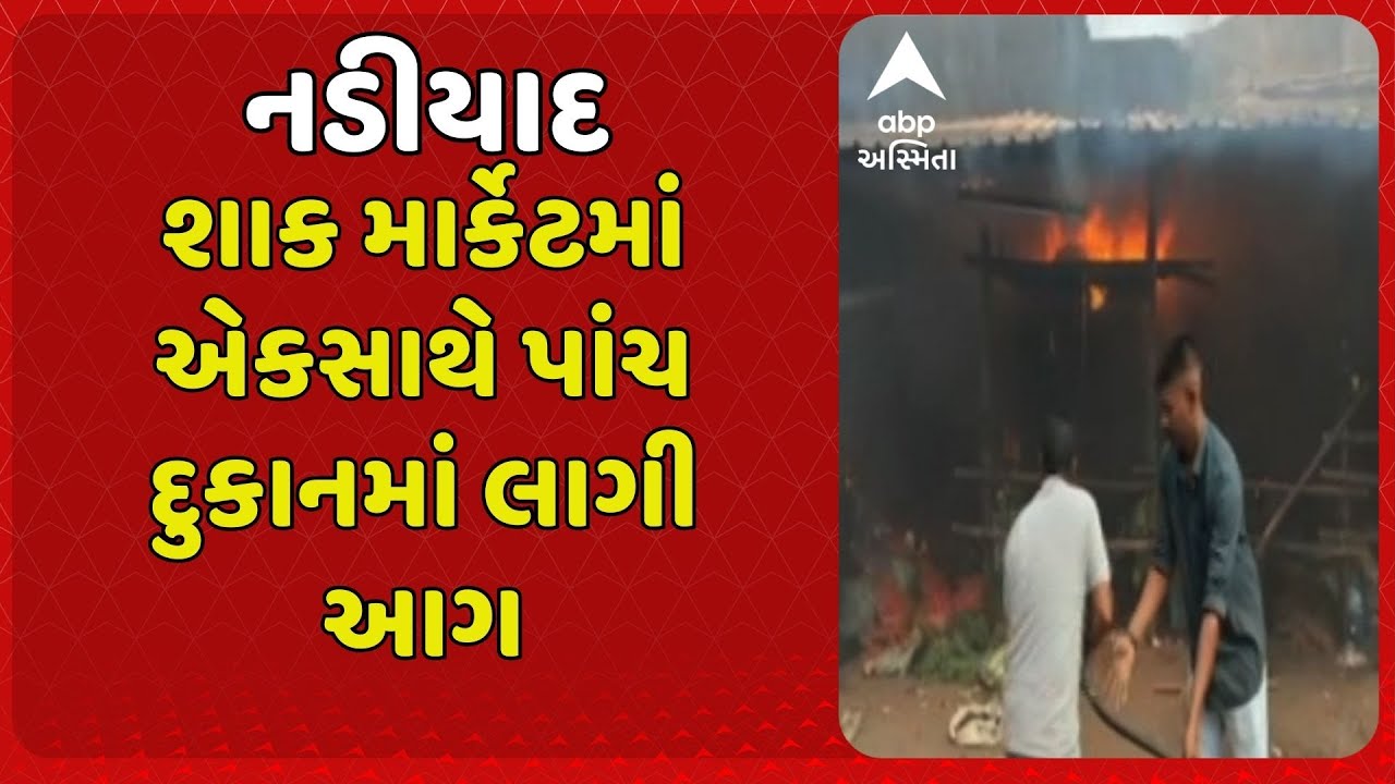 Nadiad Fire | નડીયાદ એકસાથે પાંચ દુકાનમાં લાગી આગ