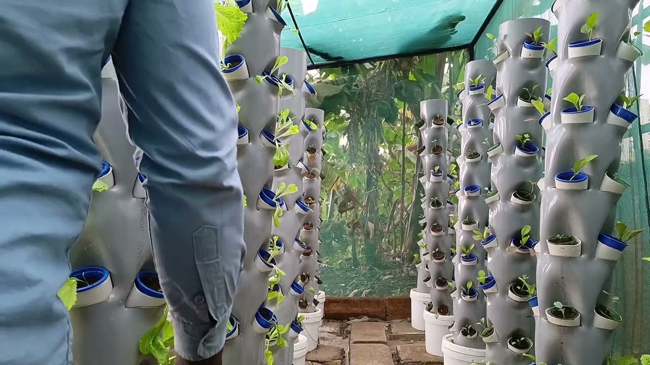 Progress at the vertical farm #rabbit #hydroponics #livestockfarming 
