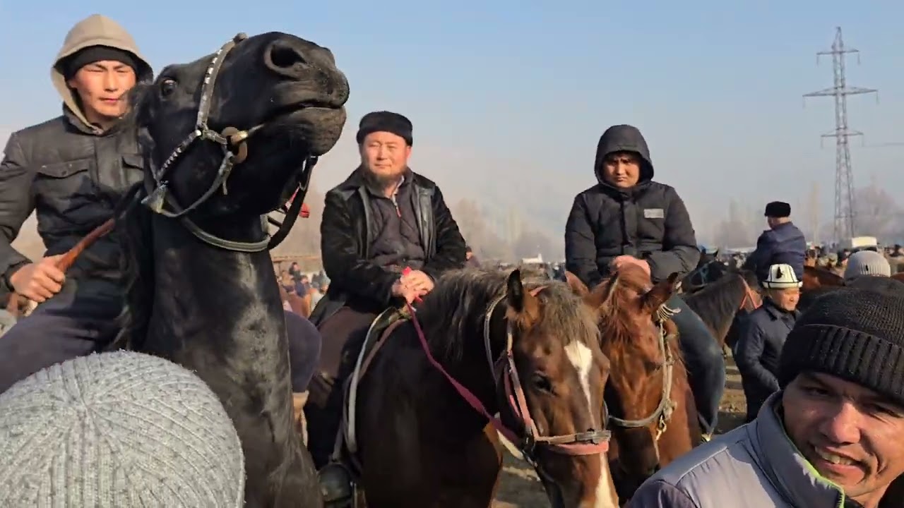 370 миңге Ат Сатылды  пай пай пай  Мындай Соода болгон эмес 