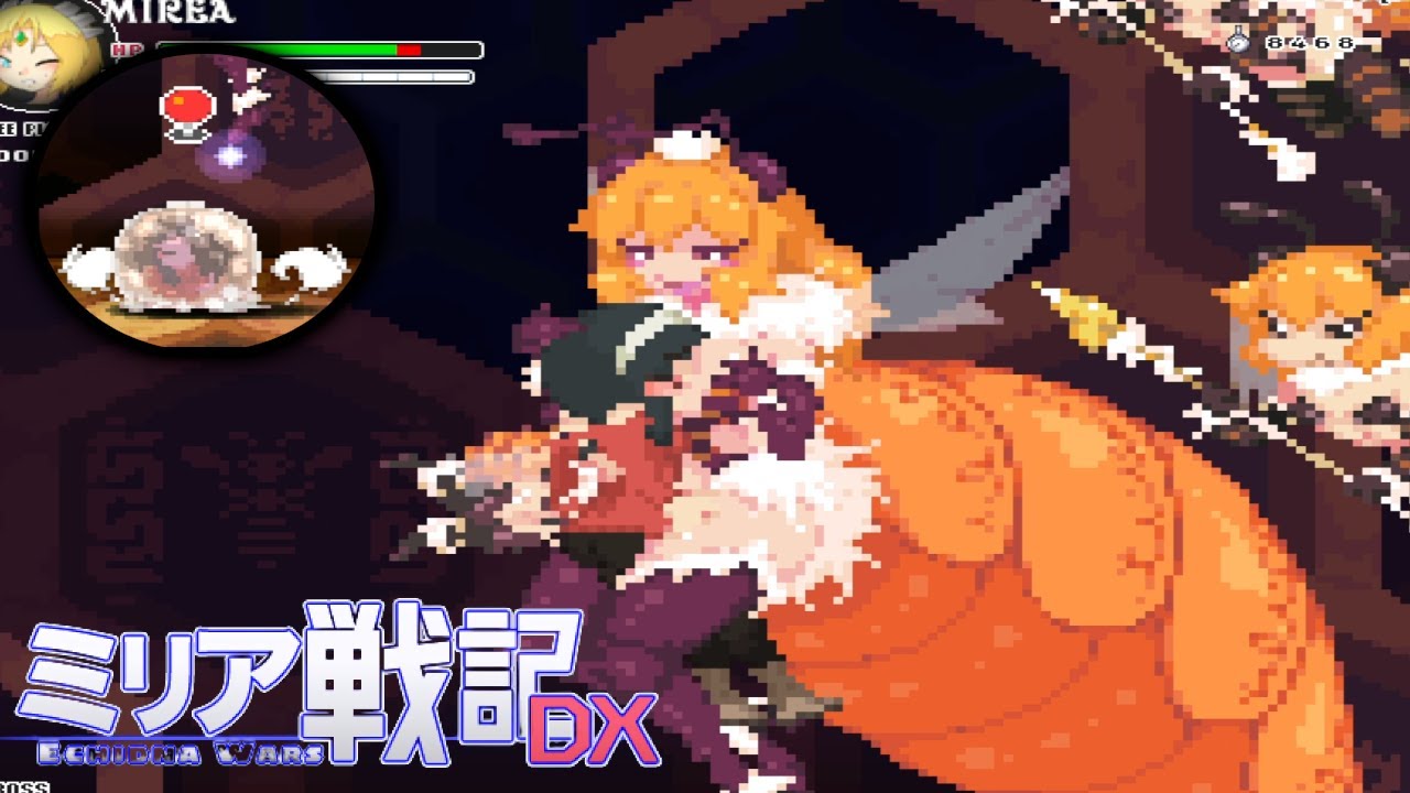 Echidna Wars DX Yor Skin vs Bee Queen gameplay