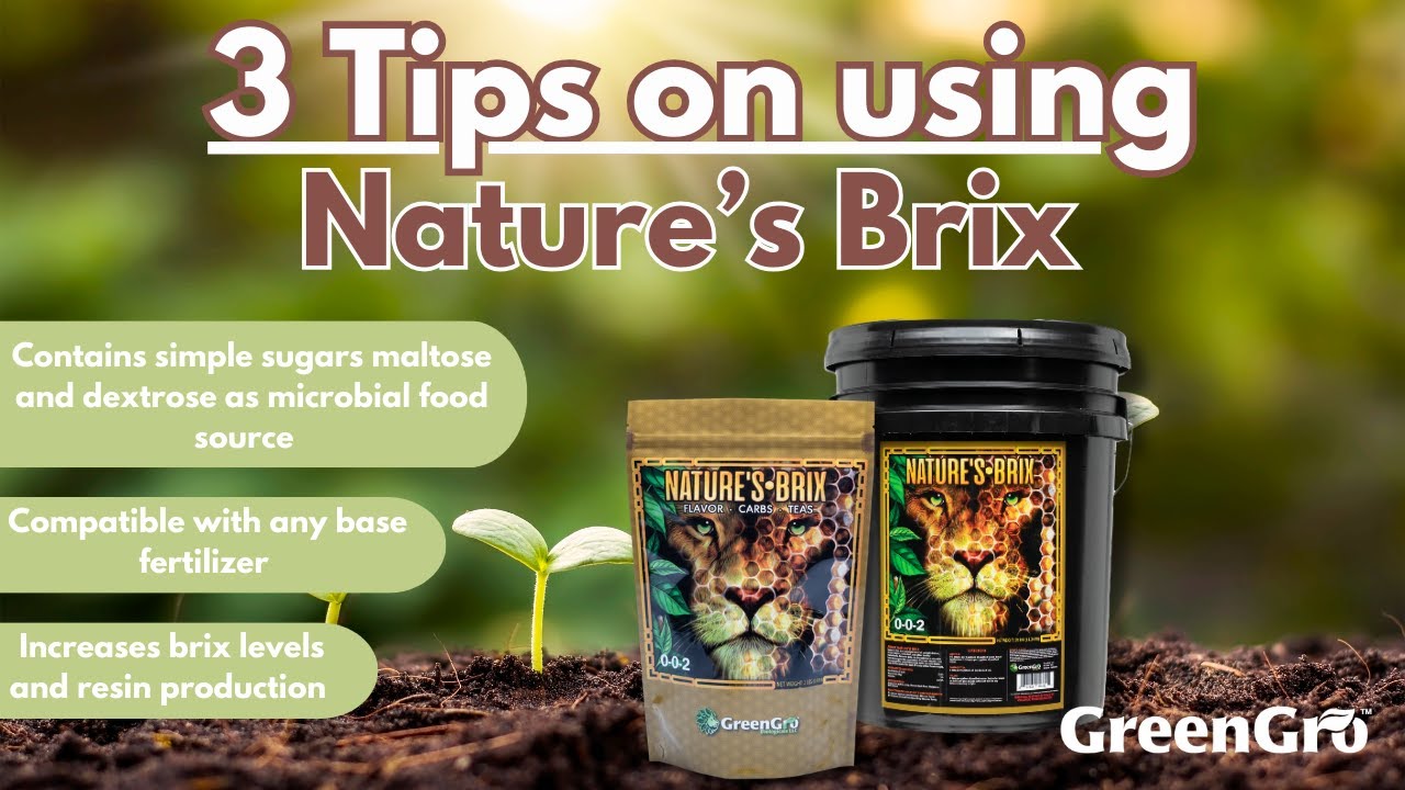 3 Essential Tips for Using Nature's Brix to Boost Your Plant Growth